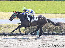 カラープリント(アルミ枠なし)2020年4月4日中山2R 3歳未勝利(エメラルホープ)