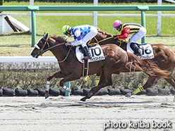 カラープリント(アルミ枠付き)2020年4月4日中山4R 3歳未勝利(ハイエストエンド)