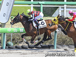 カラープリント(アルミ枠なし)2020年4月4日中山6R 3歳1勝クラス(ヴォートルエロー)