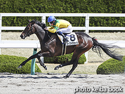 カラーパネル2020年4月5日阪神1R 3歳未勝利(クーファアチャラ)