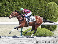 カラーパネル2020年4月5日阪神3R 3歳未勝利(ユウゲン)