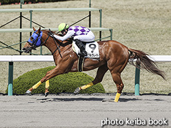 カラープリント(アルミ枠なし)2020年4月5日阪神7R 4歳以上2勝クラス(メイプルグレイト)