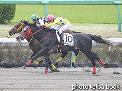 カラープリント(アルミ枠付き)2020年4月5日中山4R 4歳以上障害未勝利(ノーザンクリス)