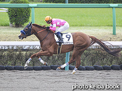 カラーパネル2020年4月5日中山8R 4歳以上1勝クラス(ビップデヴィット)