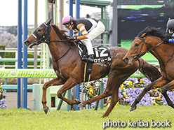 カラープリント(アルミ枠付き)2020年4月5日中山10R 浅草特別(ロザムール)