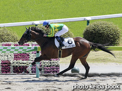 カラーパネル2020年4月11日福島3R 3歳未勝利(サトノワールド)