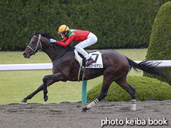 カラープリント(アルミ枠付き)2020年4月12日阪神6R 4歳以上1勝クラス(リバプールタウン)