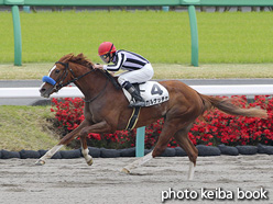 カラーパネル2020年4月12日中山1R 3歳未勝利(ガルナッチャ)