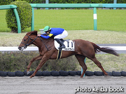 カラープリント(アルミ枠なし)2020年4月12日中山4R 3歳未勝利(ジョイウイン)