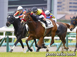 カラープリント(アルミ枠付き)2020年4月12日中山5R 3歳未勝利(アポロヴィクトリア)