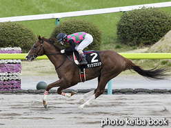 カラープリント(アルミ枠付き)2020年4月12日福島11R 吾妻小富士ステークス(ダンツゴウユウ)