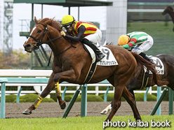 カラープリント(アルミ枠付き)2020年4月18日阪神5R 3歳未勝利(サングレデクリスト)