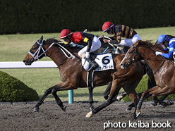 カラープリント(アルミ枠なし)2020年4月18日阪神12R 4歳以上2勝クラス(シホノフォルテ)