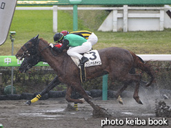 カラープリント(アルミ枠なし)2020年4月18日中山1R 3歳未勝利(クリノテルチャン)