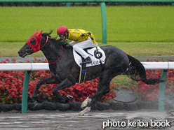 カラーパネル2020年4月18日中山2R 3歳未勝利(レインボービーム)