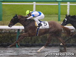 カラープリント(アルミ枠なし)2020年4月18日中山3R 3歳未勝利(サンビュート)