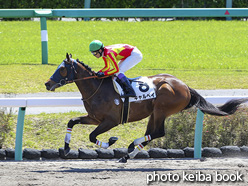 カラープリント(アルミ枠なし)2020年4月19日中山2R 3歳未勝利(キャルベイ)