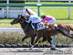 カラーパネル2020年4月19日中山3R 3歳未勝利(ジッピーレーサー)