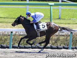 カラープリント(アルミ枠なし)2020年4月19日中山4R 3歳未勝利(ロードスラッシュ)