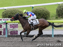 カラーパネル2020年4月19日福島1R 3歳未勝利(シャイニールミナス)