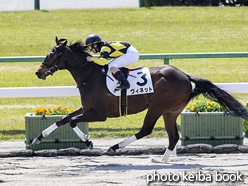 カラープリント(アルミ枠なし)2020年4月25日京都1R 3歳未勝利(ヴィネット)