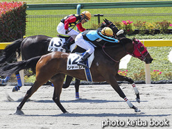 カラーパネル2020年4月25日東京1R 3歳未勝利(シャーレ)