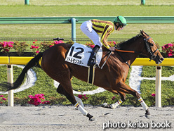 カラープリント(アルミ枠付き)2020年4月25日東京12R 4歳以上2勝クラス(リトルモンスター)