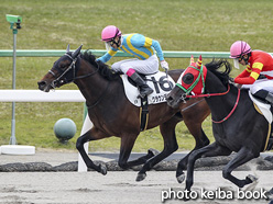 カラープリント(アルミ枠付き)2020年4月26日京都2R 3歳未勝利(クラウンデザイアー)