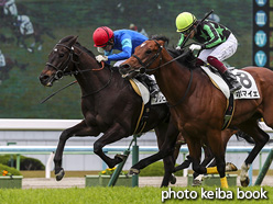 カラーパネル2020年4月26日京都7R 4歳以上1勝クラス(プリヒストリー)