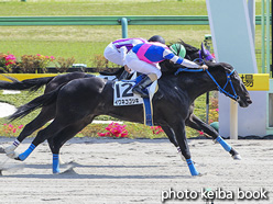 カラープリント(アルミ枠付き)2020年4月26日東京8R 4歳以上1勝クラス(イワネコゴシキ)