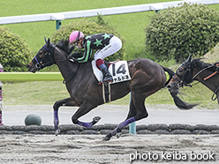 カラーパネル2020年5月2日福島3R 3歳未勝利(シャルドネ)