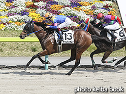 カラーパネル2020年5月2日福島9R 4歳以上1勝クラス(サウンドカナロア)