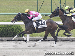 カラープリント(アルミ枠付き)2020年5月3日京都2R 3歳未勝利(ワンダーダイカネン)