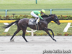 カラーパネル2020年5月3日東京8R 4歳以上1勝クラス(スパーダ)