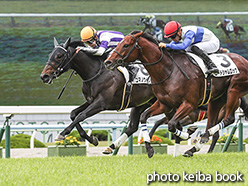 カラーパネル2020年5月9日京都4R 3歳未勝利(コマノウインクル)