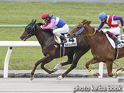 カラーパネル2020年5月9日京都7R 4歳以上1勝クラス(カネコメアサヒ)