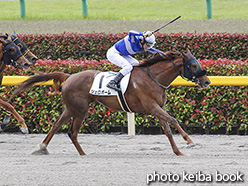 カラープリント(アルミ枠なし)2020年5月9日東京1R 3歳未勝利(ジェロボーム)