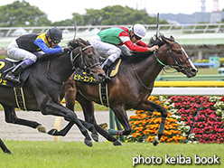 カラープリント(アルミ枠なし)2020年5月9日東京11R プリンシパルステークス(ビターエンダー)