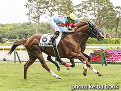 カラープリント(アルミ枠付き)2020年5月9日新潟8R 4歳以上1勝クラス(ミトロジー)