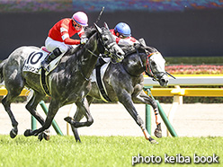 カラーパネル2020年5月17日東京8R 4歳以上2勝クラス(アイスフィヨルド)