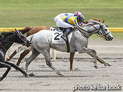 カラーパネル2020年5月17日新潟7R 4歳以上1勝クラス(シルバークレイン)