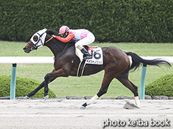 カラープリント(アルミ枠付き)2020年6月6日阪神1R 3歳未勝利(ペイシャノリッジ)