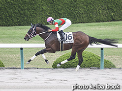 カラーパネル2020年6月6日阪神2R 3歳未勝利(オーヴァーネクサス)