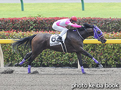 カラープリント(アルミ枠付き)2020年6月7日東京1R 3歳未勝利(クインズモモナ)