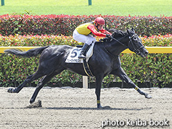 カラーパネル2020年6月7日東京3R 3歳未勝利(ブルーダイヤカフェ)