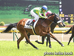 カラーパネル2020年6月7日東京5R 2歳新馬(サトノレイナス)