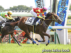 カラーパネル2020年6月7日東京6R 2歳新馬(グレイトミッション)