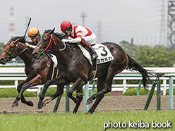 カラーパネル2020年6月13日阪神5R 2歳新馬(ヨカヨカ)