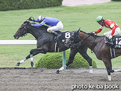 カラープリント(アルミ枠なし)2020年6月13日阪神11R 天保山ステークス(サヴィ)