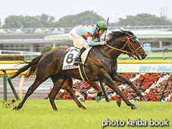 カラーパネル2020年6月13日東京5R 2歳新馬(ノックオンウッド)